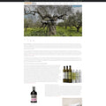 Article about olive oil including Little Olive Oil at Women Talking website